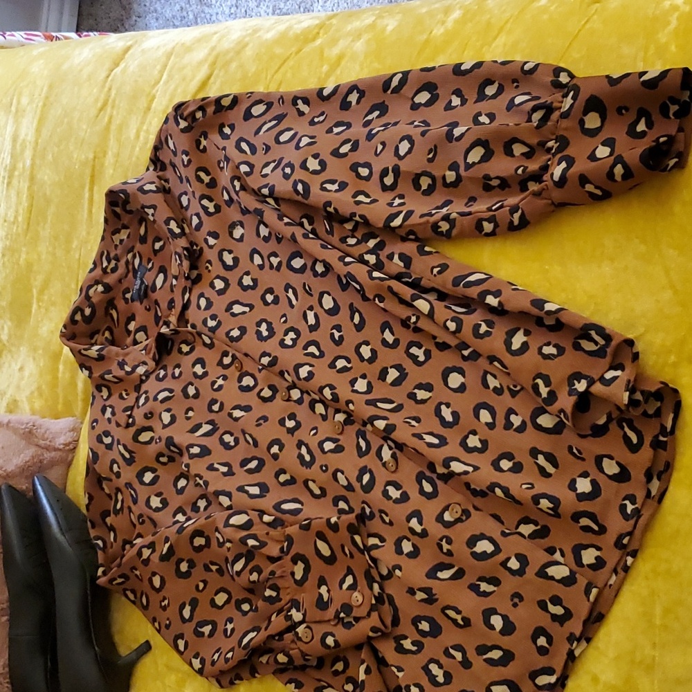 Ann Taylor Animal Print career blouse sz LP - Picture 1 of 8